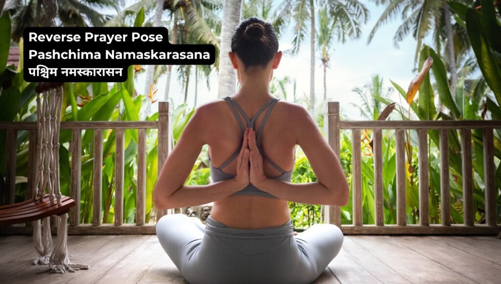 6-Year-Old Honey Zipporah Sets Record with Stunning Pashchima Namaskarasana Hold! 3 girl performing Pashchima Namaskarasana or reverse prayer pose.